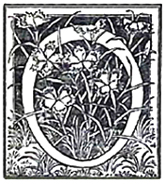 image017