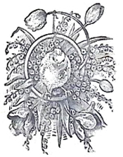 image005