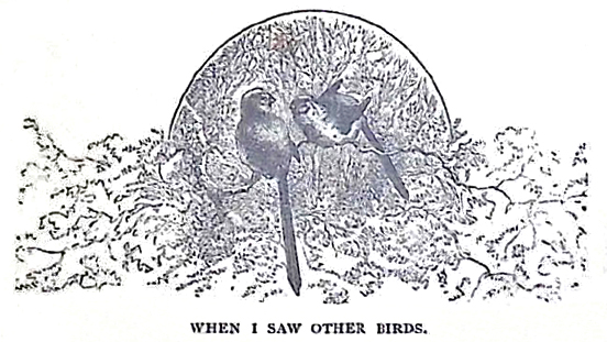 image026