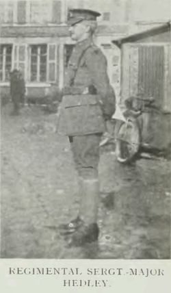 Regimental Sergt. Major Hedley. Regimental Sergt. Major Hedley.