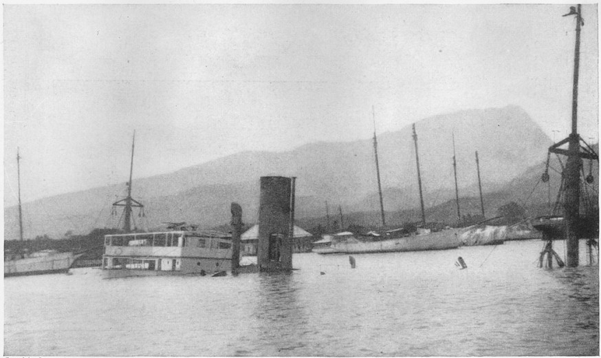 Fig. 40
