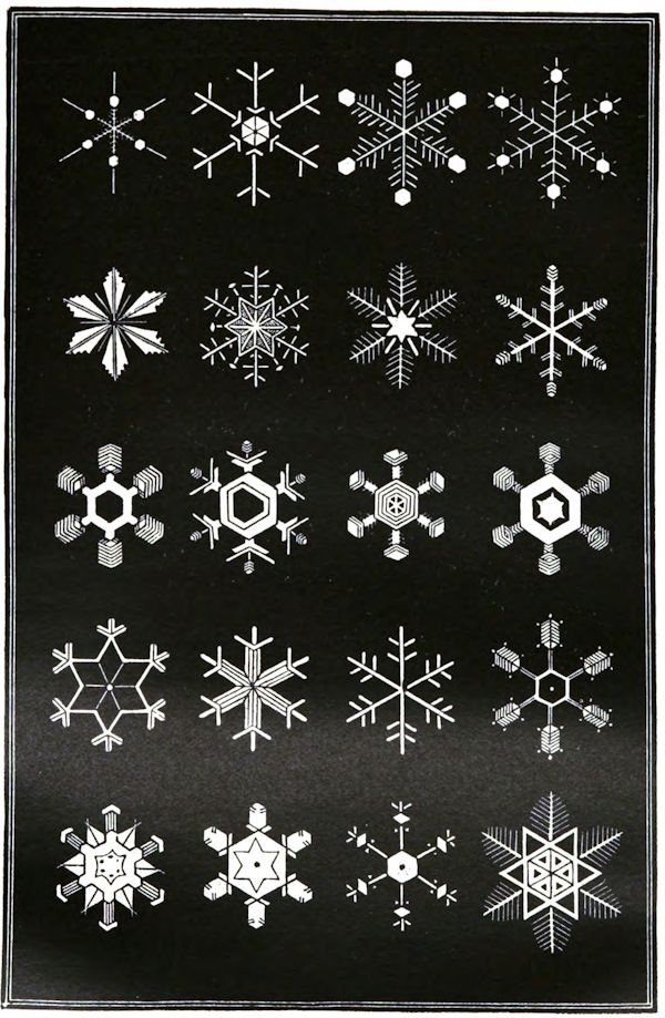 Twenty examples of snowflake shapes