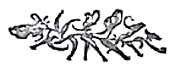 image037