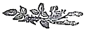 image041