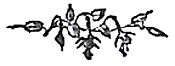 image063
