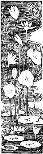 lotus-flowers lotus-flowers