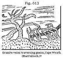 Fig. 613: Granite veins traversing gneiss, Cape Wrath.