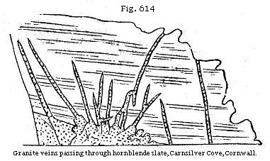 Fig. 614: Granite veins passing through hornblende slate, Carnsilver Cove, Cornwall.