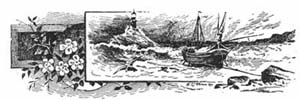 Chapter header Chapter header