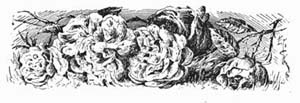Chapter header Chapter header
