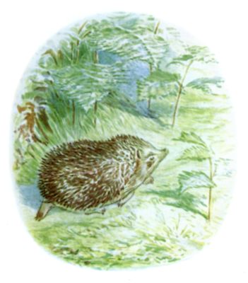 Is that Mrs. Tiggy-winkle? Is that Mrs. Tiggy-winkle?