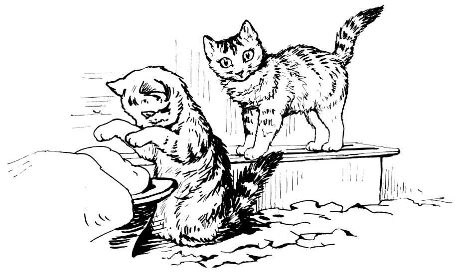 Kittens knead dough Kittens knead dough