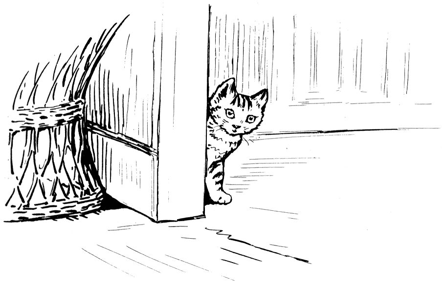 Thomas Kitten Thomas Kitten