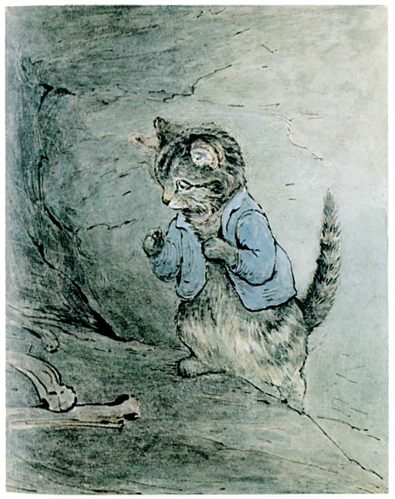 Tom finds bones and smells a rat Tom finds bones and smells a rat