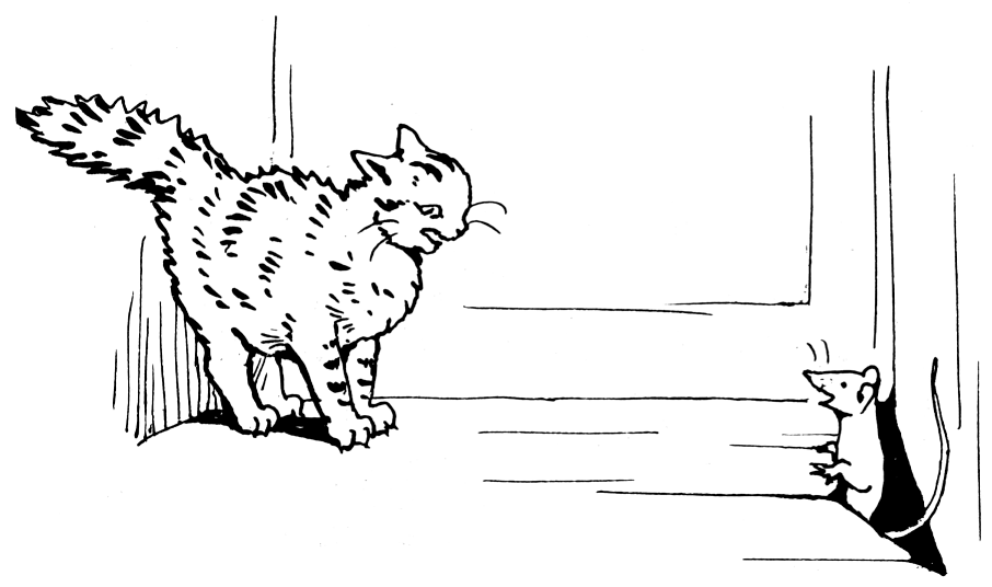 Tom is a scaredy-cat! Tom is a scaredy-cat!