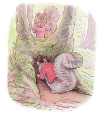 Storing Nuts in Hollows Storing Nuts in Hollows