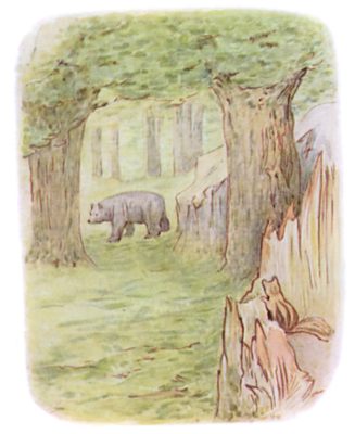 A Bear A Bear
