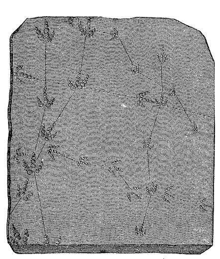 Fig. 67.