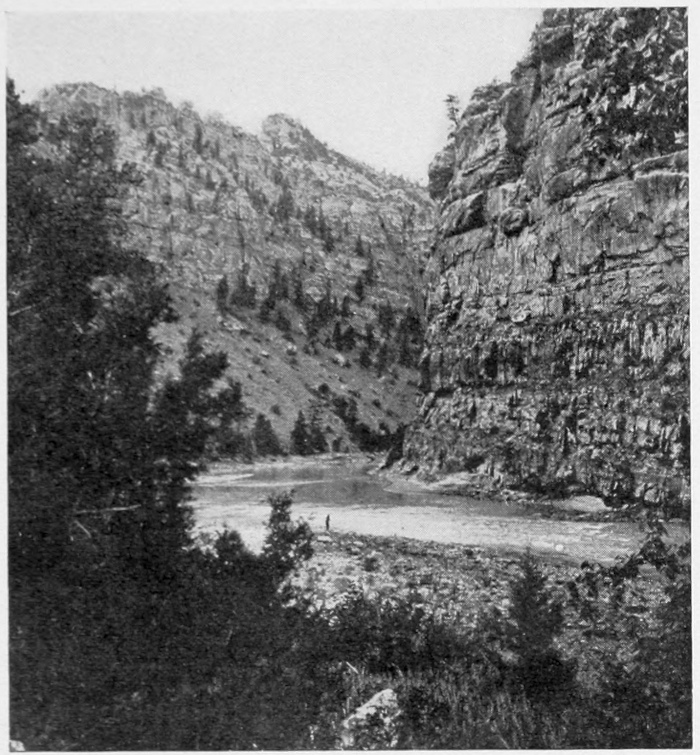 In the foreground is shrubery and undergrowth next to a rocky shore. Beyond the calm river, rough, vertical canyon walls rise above the water.
