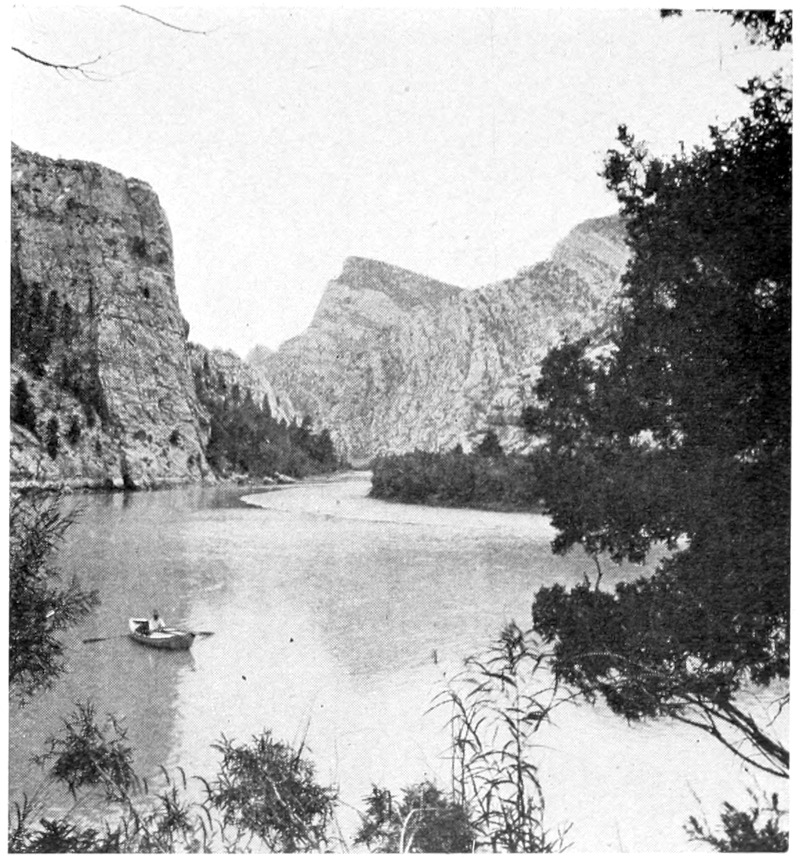 A rowboat with one boater floats on a wide section of river that fills the lower half of the photo. The bottom and sides are framed with trees and shrubs. In the distance, canyon walls rise straight up from the river.