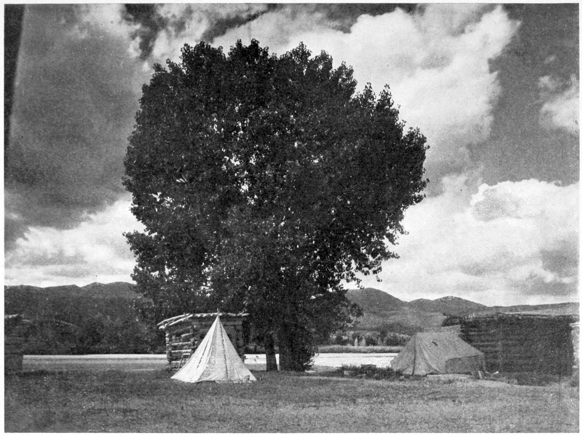 A cottonwood tree dominates the center of the photo. A tent and small log shed are to the left of the tree. To the right is another tent and a larger log building. The river and low hills are in the background. The sky is filled with cumulus clouds.