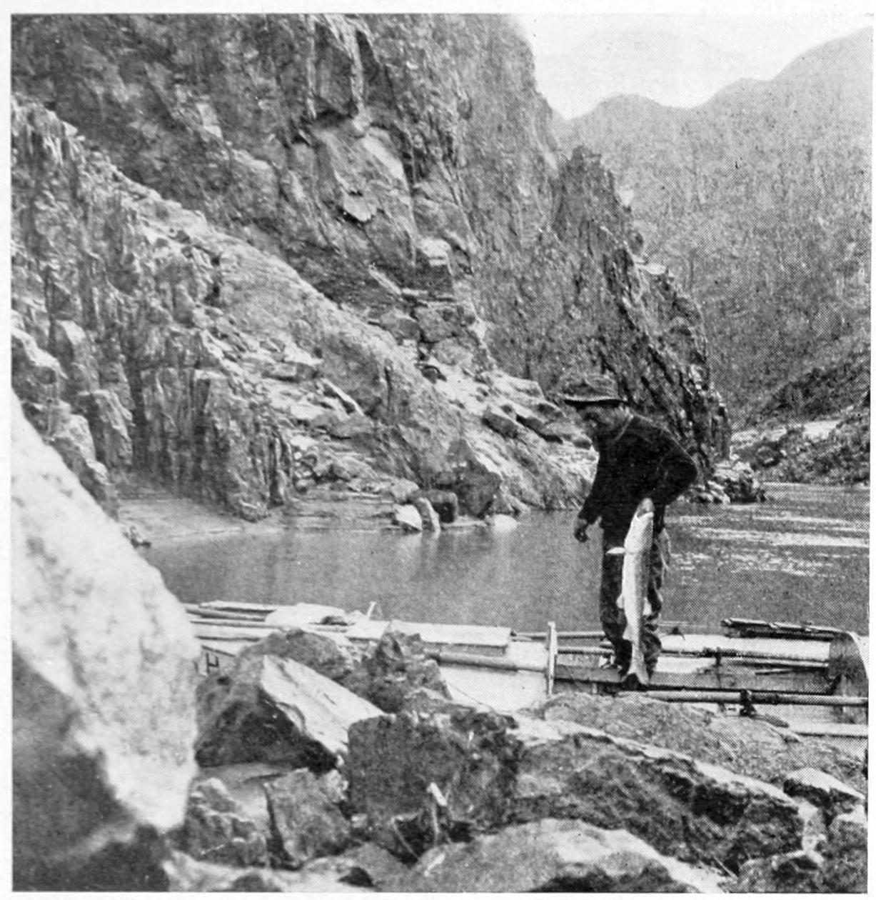 A man stands in a boat next to a rocky shoreline. He holds a fish by its mouth. The fish extends from above the man's waist to his feet.