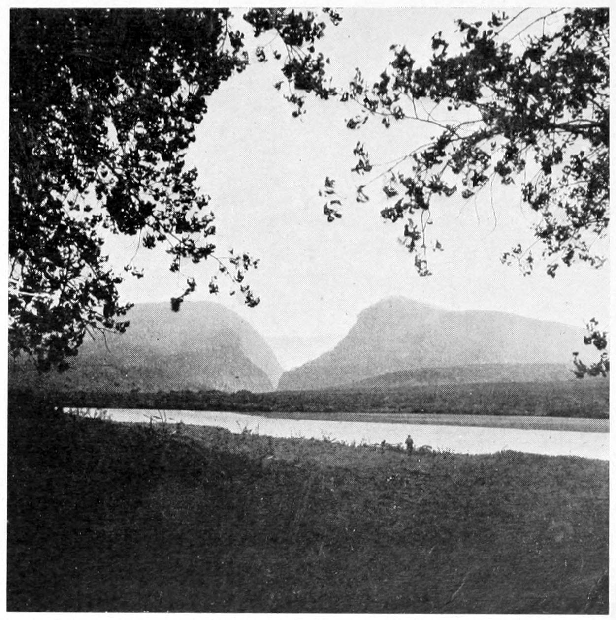 A placid river cuts across the lower third of the photo; tree branches frame the upper half of the photo. In the distance, two canyon walls form a 'V' where the river cuts through.
