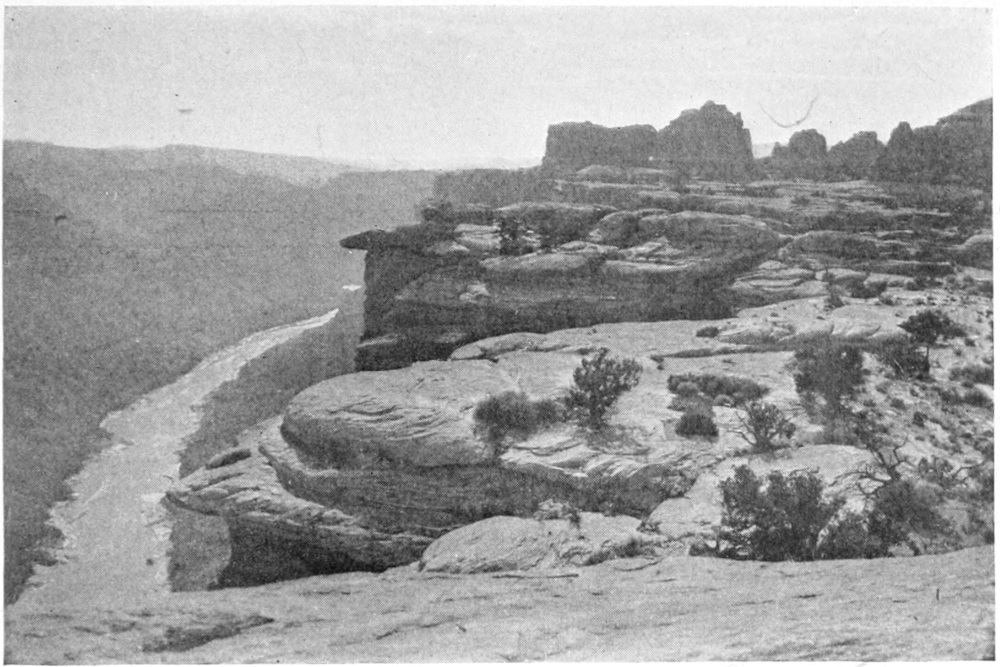 Photo taken atop a canyon wall. The river curls upwards from the lower left. The right side shows the rocky tops of the canyon walls with some stunted trees.