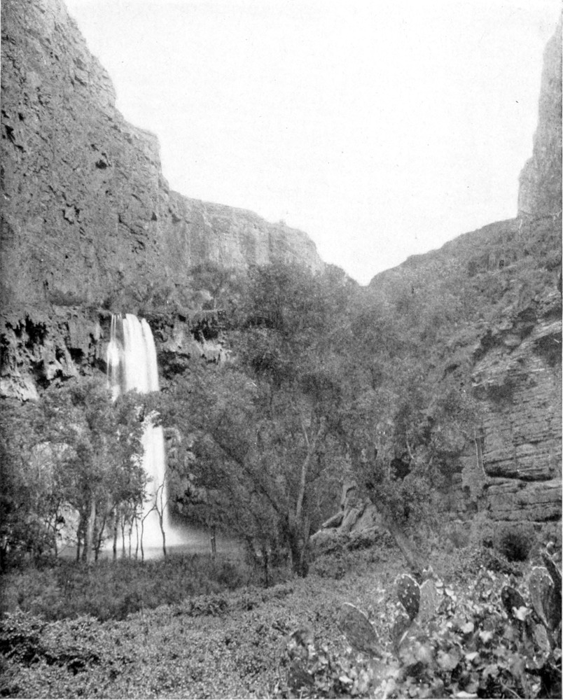 A waterfall gushes midway down a canyon wall into the river below.