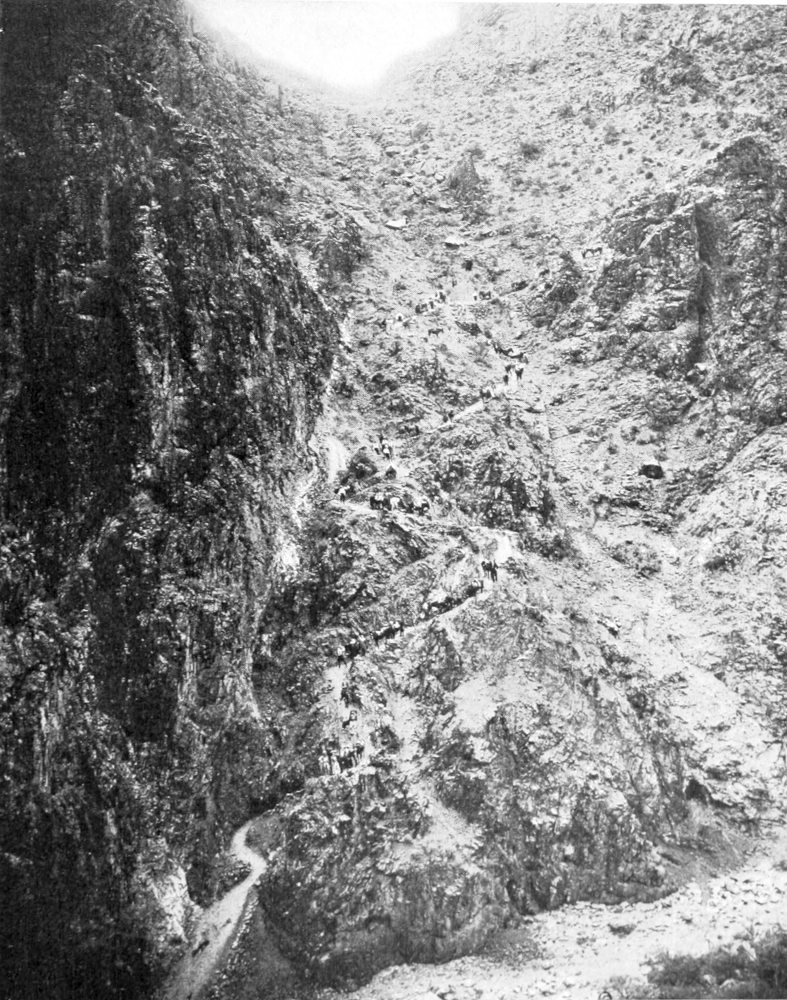 A long train of burros and pedestrians travel down the trail towards the canyon floor.