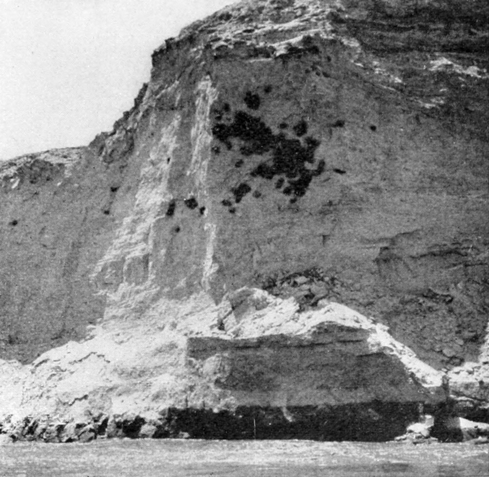 Canyon wall opposite the river is pock-marked with bird nests.