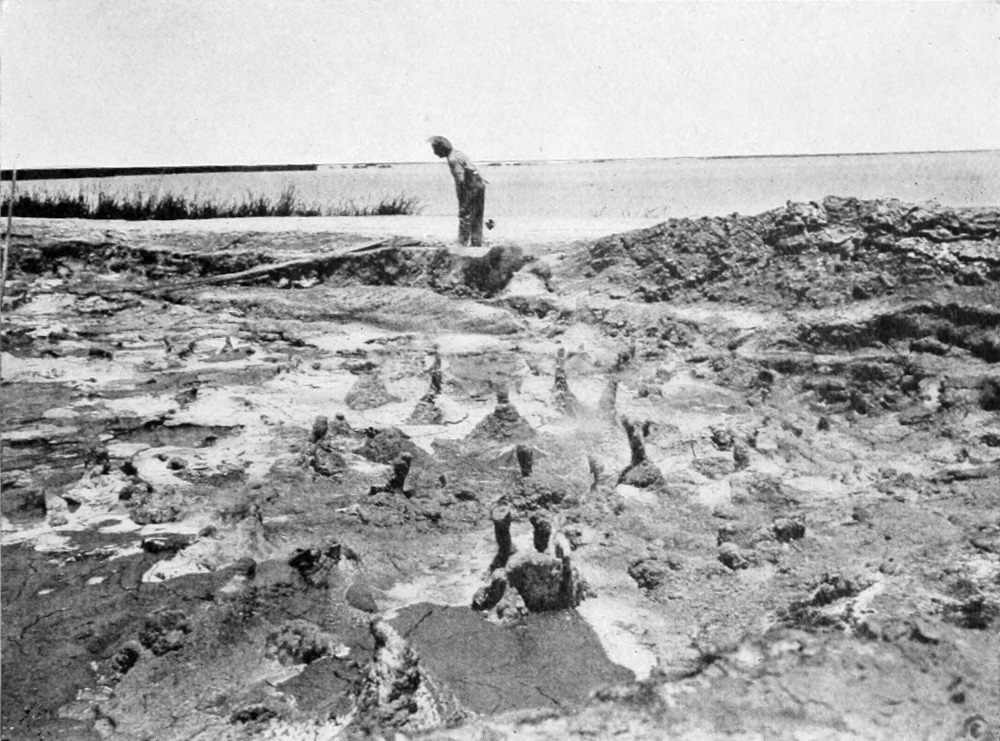 A man stands among the mud pots at the side of the lake.