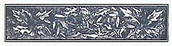 image003