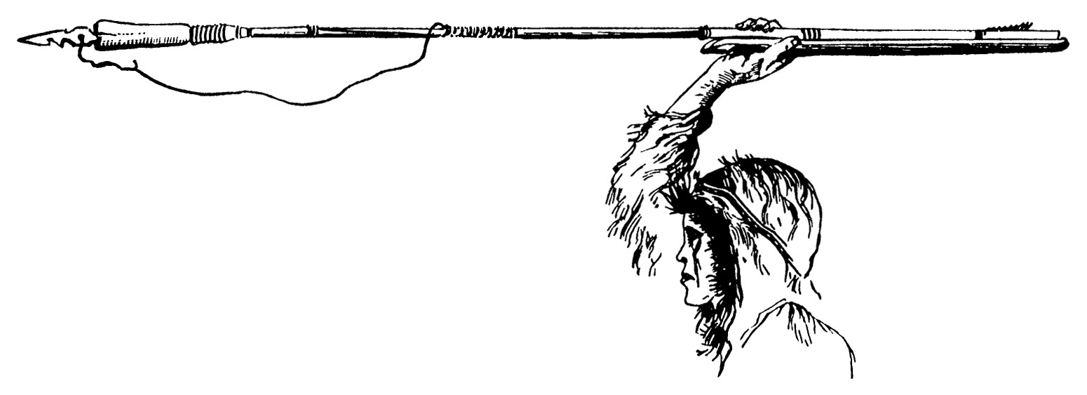 Plate 1