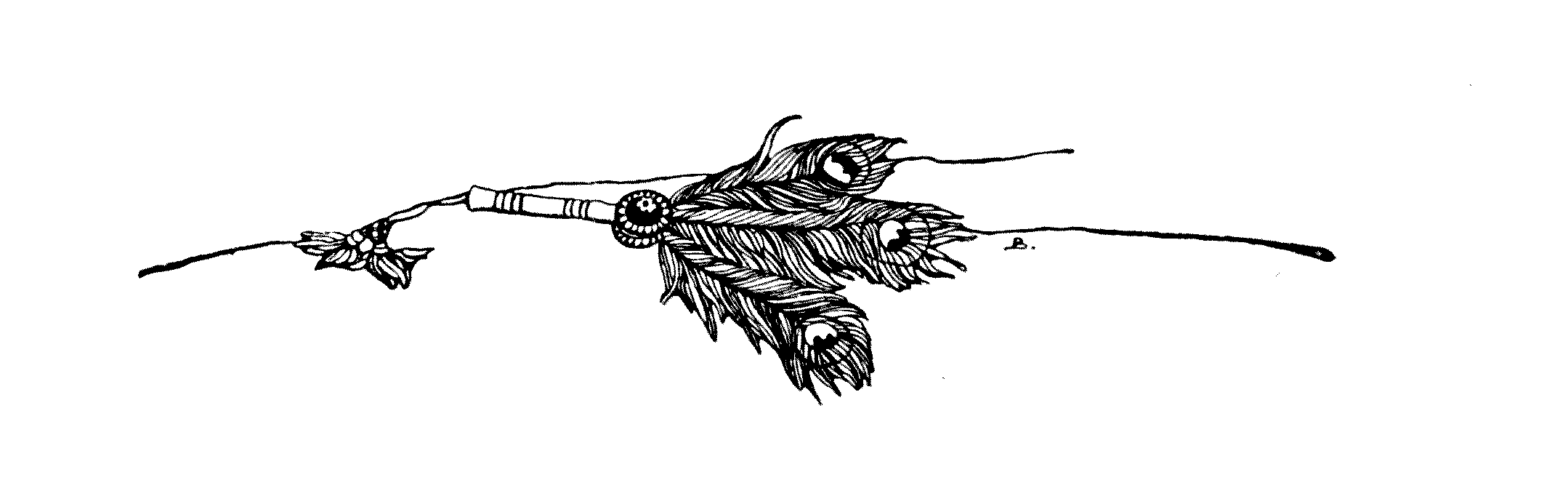 bunch of feathers