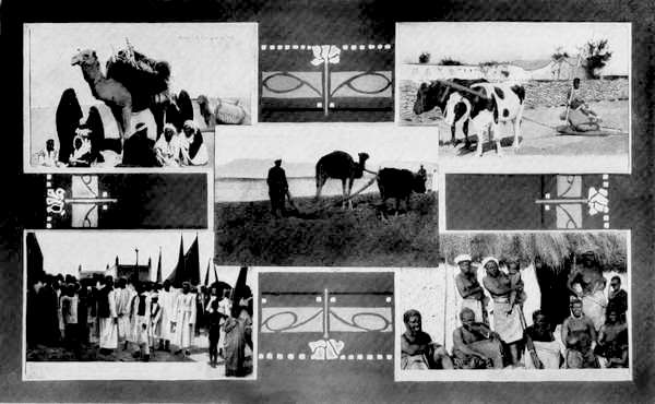 Various Photographs.
