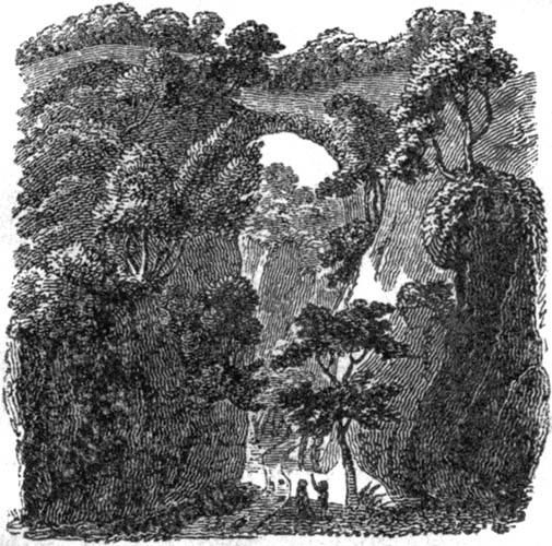 Title Page Image