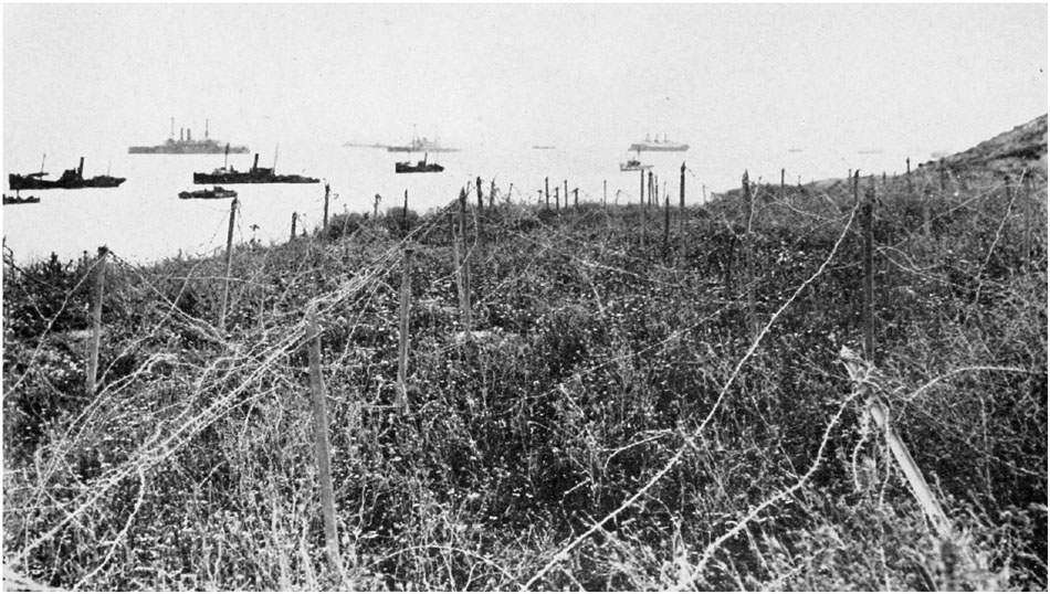 Some of the barbed wire entanglements near Seddel Bahr are still in position