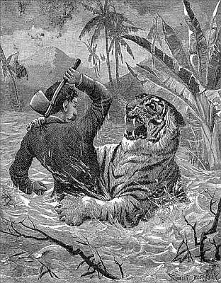 AFLOAT WITH A TIGER° AFLOAT WITH A TIGER°
