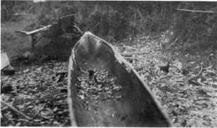 WATERMAN—CANOES PL. V INTERIOR VIEW OF THE HULL OF A SUQUAMISH “HUNTING CANOE” IN PROCESS OF MANUFACTURE Made by Jack Adams (Xa´bsus), near Suquamish, Washington, in March, 1920. (Photograph by J. D. Leechman.)