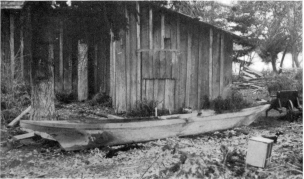 WATERMAN—CANOES PL. VI THE FINISHED HULL OF THE CANOE SHOWN IN PLATES IV AND V To the left in the photograph is the bow, which in this case lacks the “notch” found in many specimens. The “lift” of the boa1’s lines toward the prow may be plainly seen. This enables it to ride the waves. (Photograph by J. D. Leechman.)