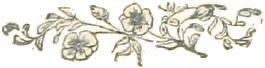Decorative graphic