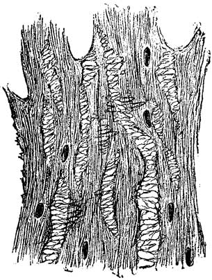 Fig. 2 Fig. 2