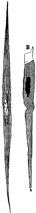 Fig. 3 Fig. 3