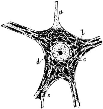 Fig. 4 Fig. 4