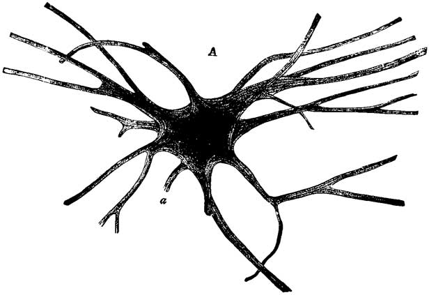 Fig. 5 Fig. 5