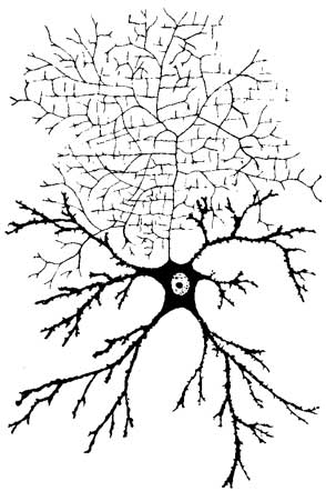 Fig. 6 Fig. 6