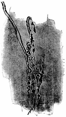 Fig. 7 Fig. 7