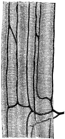 Fig. 8 Fig. 8