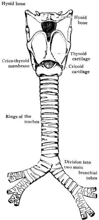 Fig. 9 front Fig. 9 front